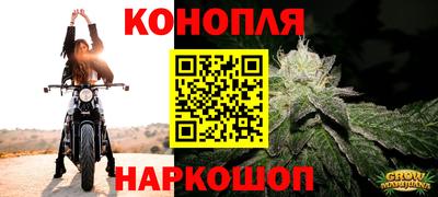 мяу мяу мука Ирбит