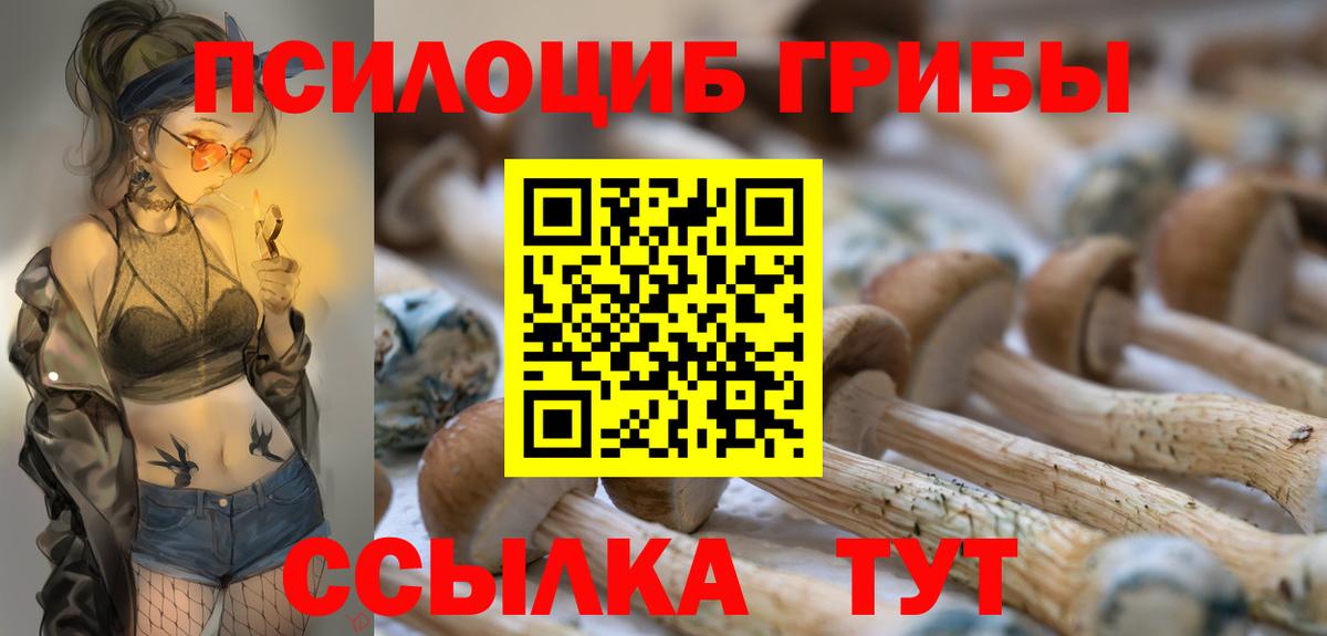 Псилоцибиновые грибы GOLDEN TEACHER  Вход с VPN  Чайковский 